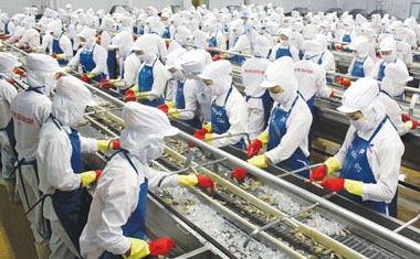 Aquaculture wastewater treatment