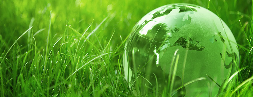 Environmental profile required